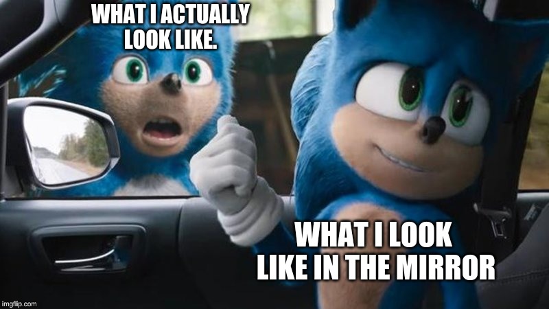 Sonic Movie Old vs New | WHAT I ACTUALLY LOOK LIKE. WHAT I LOOK
 LIKE IN THE MIRROR | image tagged in sonic movie old vs new | made w/ Imgflip meme maker