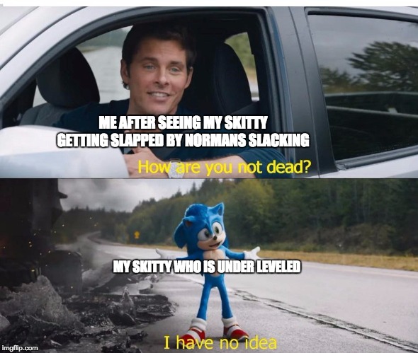 sonic how are you not dead | ME AFTER SEEING MY SKITTY GETTING SLAPPED BY NORMANS SLACKING; MY SKITTY WHO IS UNDER LEVELED | image tagged in sonic how are you not dead | made w/ Imgflip meme maker