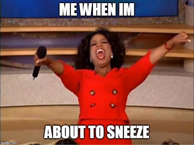 Oprah You Get A Meme | ME WHEN IM; ABOUT TO SNEEZE | image tagged in memes,oprah you get a | made w/ Imgflip meme maker