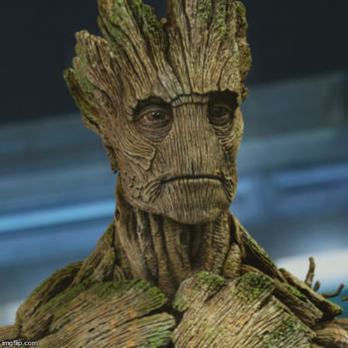 I am Groot | image tagged in i am groot | made w/ Imgflip meme maker
