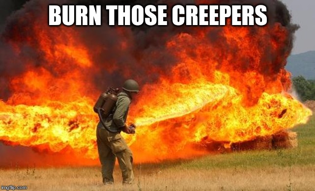 Nope flamethrower | BURN THOSE CREEPERS | image tagged in nope flamethrower | made w/ Imgflip meme maker