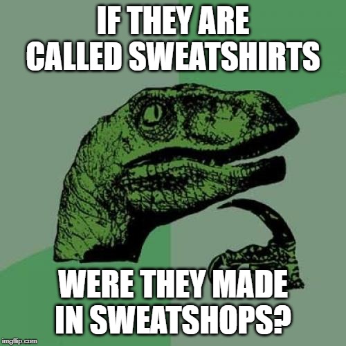 Philosoraptor Meme | IF THEY ARE CALLED SWEATSHIRTS; WERE THEY MADE IN SWEATSHOPS? | image tagged in memes,philosoraptor | made w/ Imgflip meme maker