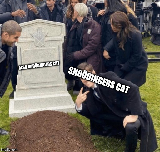 Grant Gustin over grave | ALSO SHRÖDINGERS CAT; SHRÖDINGERS CAT | image tagged in grant gustin over grave | made w/ Imgflip meme maker
