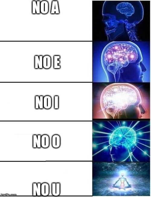 Expanding Brain 5 Panel | NO A; NO E; NO I; NO O; NO U | image tagged in expanding brain 5 panel | made w/ Imgflip meme maker