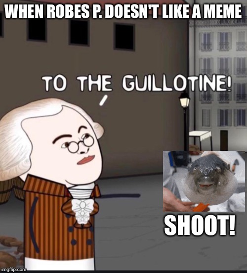 WHEN ROBES P. DOESN'T LIKE A MEME; SHOOT! | image tagged in french revolution | made w/ Imgflip meme maker