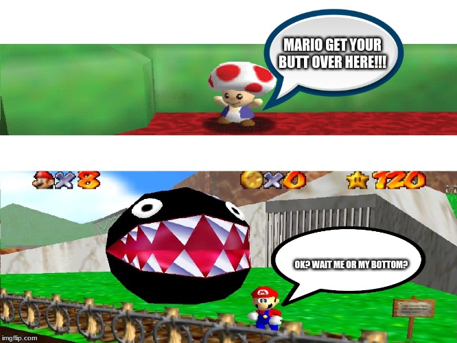 Mario & Toad Meme | MARIO GET YOUR BUTT OVER HERE!!! OK? WAIT ME OR MY BOTTOM? | image tagged in mario,super mario 64,toad,memes | made w/ Imgflip meme maker
