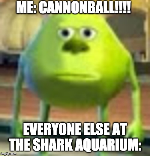 Sully Wazowski | ME: CANNONBALL!!!! EVERYONE ELSE AT THE SHARK AQUARIUM: | image tagged in sully wazowski | made w/ Imgflip meme maker