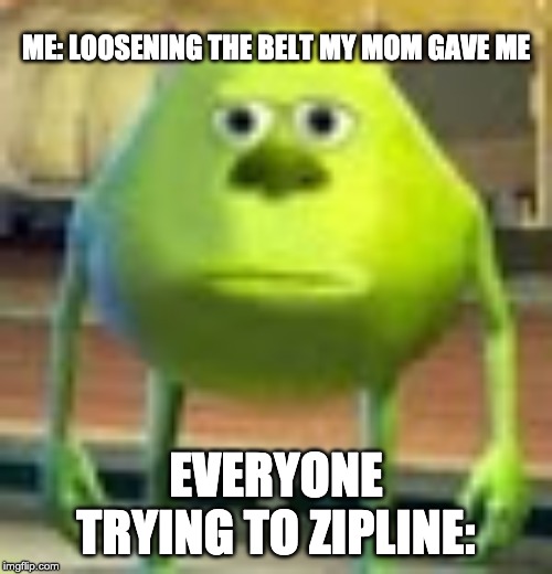 Sully Wazowski | ME: LOOSENING THE BELT MY MOM GAVE ME; EVERYONE TRYING TO ZIPLINE: | image tagged in sully wazowski | made w/ Imgflip meme maker