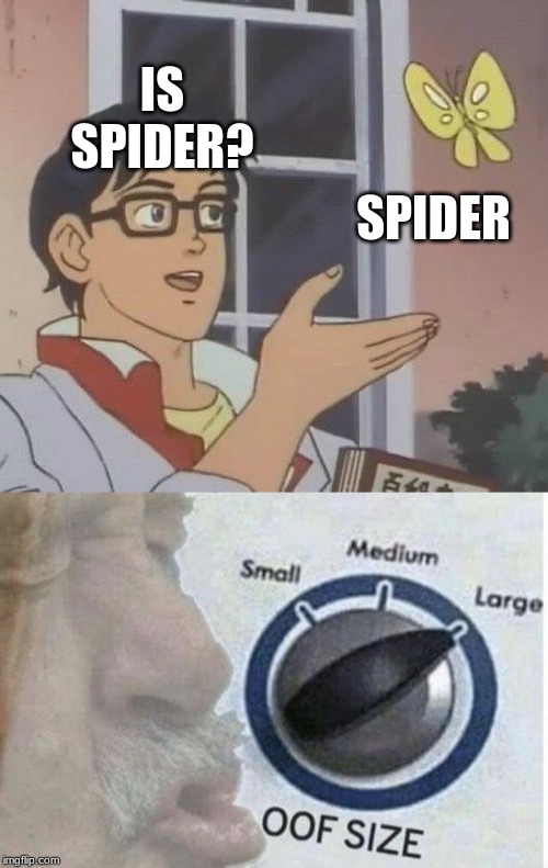 IS SPIDER? SPIDER | image tagged in memes,is this a pigeon,oof size large | made w/ Imgflip meme maker