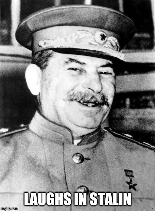 Stalin smile | LAUGHS IN STALIN | image tagged in stalin smile | made w/ Imgflip meme maker