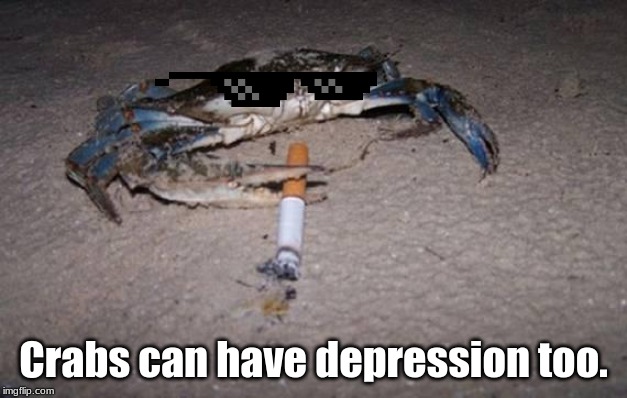 crab | Crabs can have depression too. | image tagged in crab | made w/ Imgflip meme maker