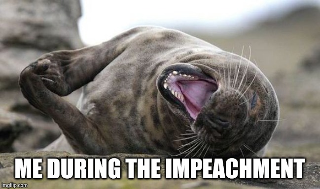 Laughing Hysterically | ME DURING THE IMPEACHMENT | image tagged in laughing hysterically | made w/ Imgflip meme maker