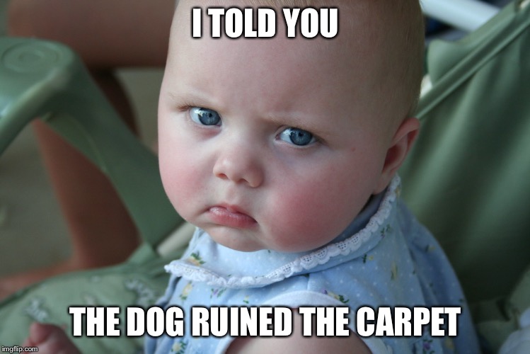 Suprise | I TOLD YOU; THE DOG RUINED THE CARPET | image tagged in bad luck brian | made w/ Imgflip meme maker