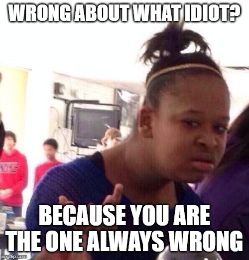 Black Girl Wat Meme | WRONG ABOUT WHAT IDIOT? BECAUSE YOU ARE THE ONE ALWAYS WRONG | image tagged in memes,black girl wat | made w/ Imgflip meme maker