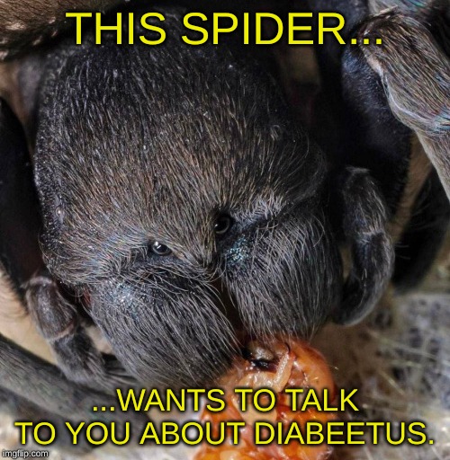 The Reincarnation of Wilford B. | THIS SPIDER... ...WANTS TO TALK TO YOU ABOUT DIABEETUS. | image tagged in diabeetus,diabeetus spider,wilford brimley | made w/ Imgflip meme maker