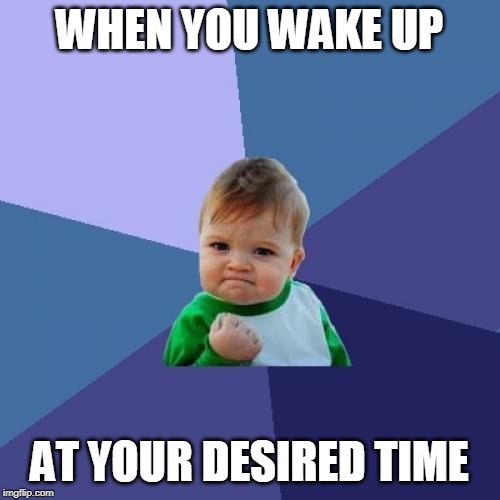 Success Kid | WHEN YOU WAKE UP; AT YOUR DESIRED TIME | image tagged in memes,success kid | made w/ Imgflip meme maker