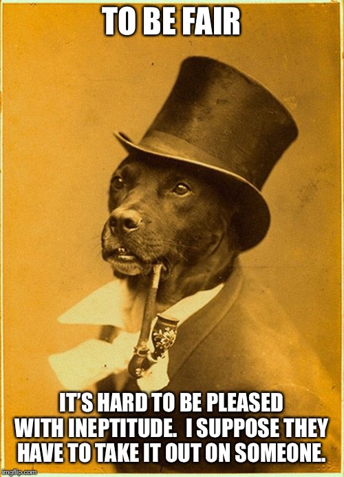 Dapper | TO BE FAIR IT’S HARD TO BE PLEASED WITH INEPTITUDE.  I SUPPOSE THEY HAVE TO TAKE IT OUT ON SOMEONE. | image tagged in dapper | made w/ Imgflip meme maker