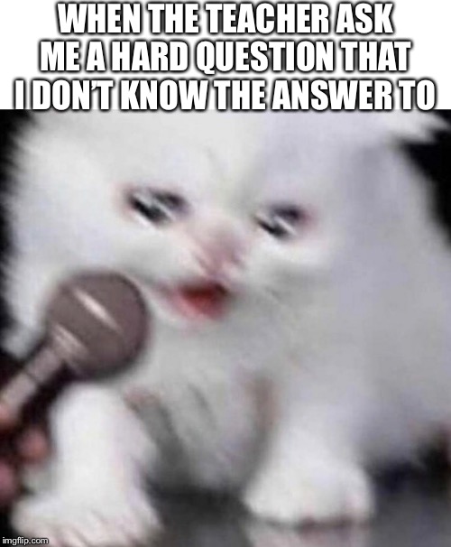 Internal screaming | WHEN THE TEACHER ASK ME A HARD QUESTION THAT I DON’T KNOW THE ANSWER TO | image tagged in funny,memes,cats,cat,sad cat | made w/ Imgflip meme maker