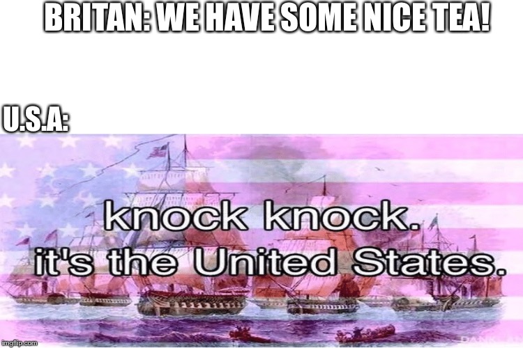 BRITAN: WE HAVE SOME NICE TEA! U.S.A: | image tagged in funny | made w/ Imgflip meme maker