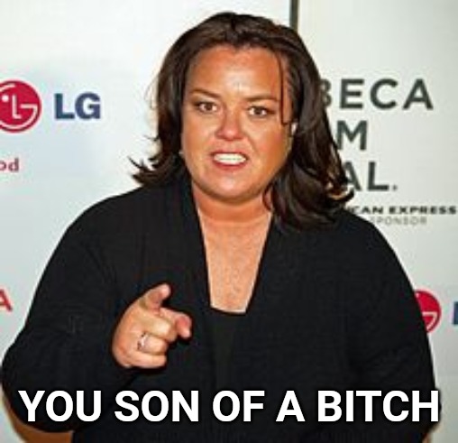 Rosie O'Donnell Pointing | YOU SON OF A B**CH | image tagged in rosie o'donnell pointing | made w/ Imgflip meme maker