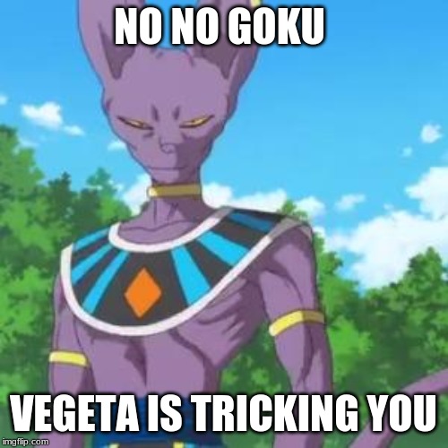 Lord Beerus | NO NO GOKU VEGETA IS TRICKING YOU | image tagged in lord beerus | made w/ Imgflip meme maker