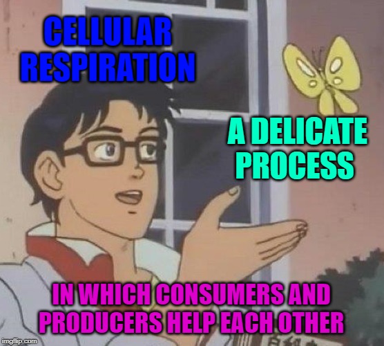 Is This A Pigeon | CELLULAR RESPIRATION; A DELICATE PROCESS; IN WHICH CONSUMERS AND PRODUCERS HELP EACH OTHER | image tagged in memes,is this a pigeon | made w/ Imgflip meme maker