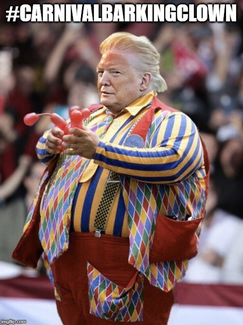 #CarnivalBarkingClown | #CARNIVALBARKINGCLOWN | image tagged in donald trump | made w/ Imgflip meme maker