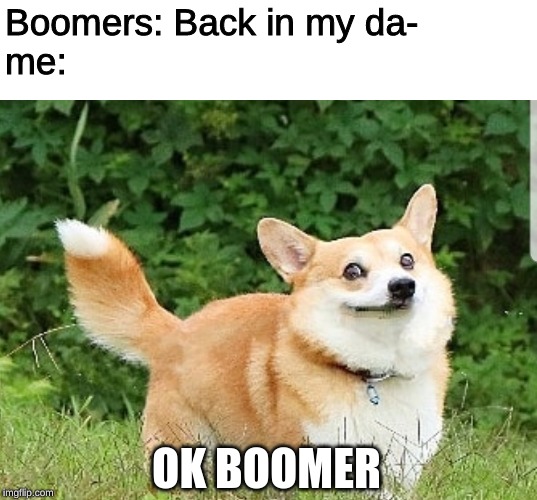 OK Boomer Corgi | Boomers: Back in my da-
me: OK BOOMER | image tagged in ok boomer corgi | made w/ Imgflip meme maker