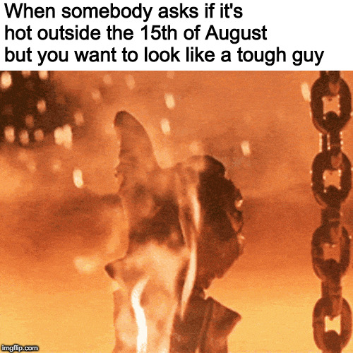 Yeah, totally ok. | When somebody asks if it's hot outside the 15th of August but you want to look like a tough guy | image tagged in memes,terminator,terminator thumbs up,arnold schwarzenegger,hot,august | made w/ Imgflip meme maker