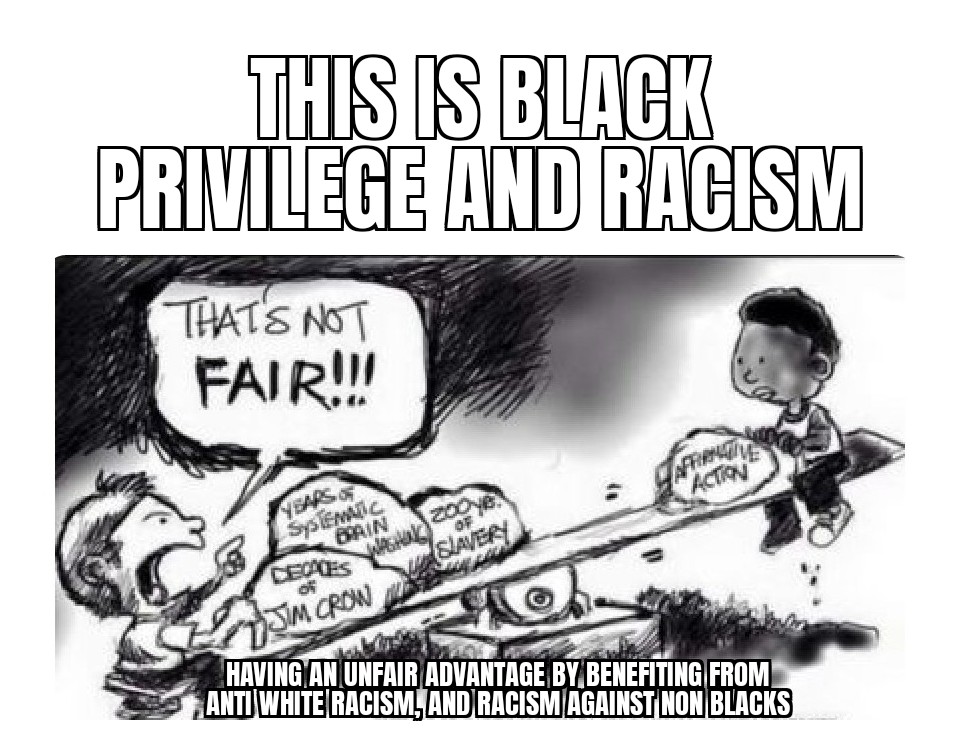 Black Privilege and Racism meme Blank Meme Template