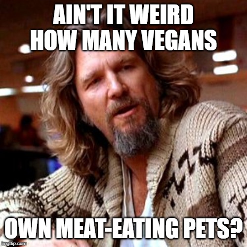 I guess it's ok to kill animals to feed your ego support. | AIN'T IT WEIRD HOW MANY VEGANS; OWN MEAT-EATING PETS? | image tagged in memes,confused lebowski | made w/ Imgflip meme maker