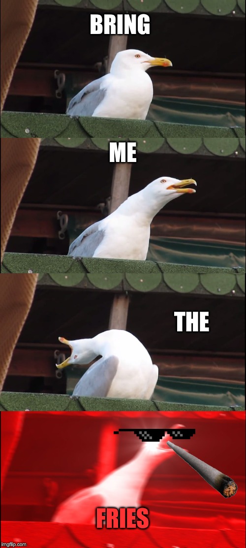 Inhaling Seagull | BRING; ME; THE; FRIES | image tagged in memes,inhaling seagull | made w/ Imgflip meme maker