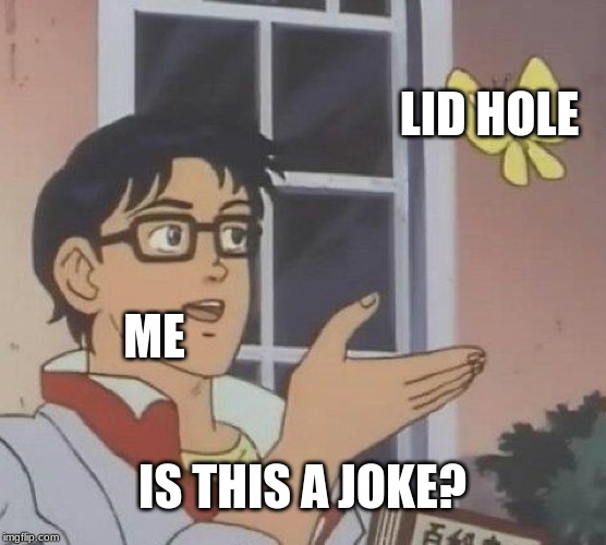 Is This A Pigeon | LID HOLE; ME; IS THIS A JOKE? | image tagged in memes,is this a pigeon | made w/ Imgflip meme maker