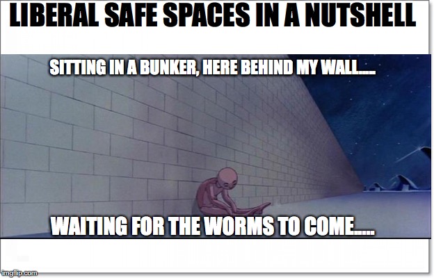 Safe Spaces are like Pinks Wall | LIBERAL SAFE SPACES IN A NUTSHELL; SITTING IN A BUNKER, HERE BEHIND MY WALL..... WAITING FOR THE WORMS TO COME..... | image tagged in pink floyd,another brick in the wall,liberal,safe space,liberal logic,college liberal | made w/ Imgflip meme maker