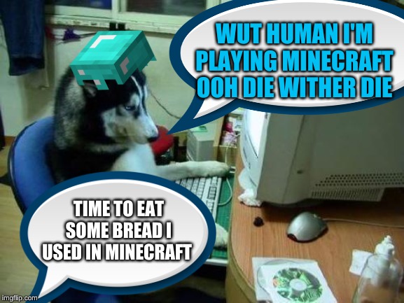 dog on computer | WUT HUMAN I'M PLAYING MINECRAFT OOH DIE WITHER DIE; TIME TO EAT SOME BREAD I USED IN MINECRAFT | image tagged in dog on computer | made w/ Imgflip meme maker