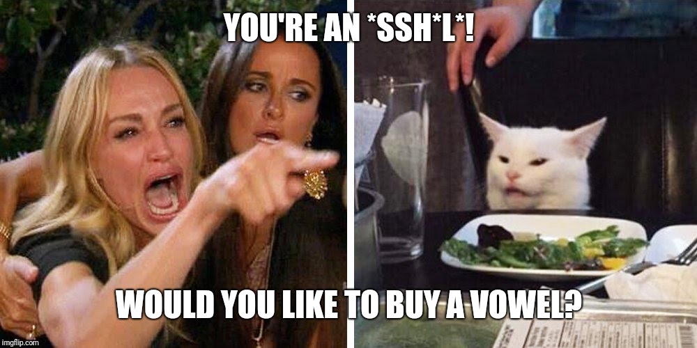 Smudge the cat |  YOU'RE AN *SSH*L*! WOULD YOU LIKE TO BUY A VOWEL? | image tagged in smudge the cat | made w/ Imgflip meme maker