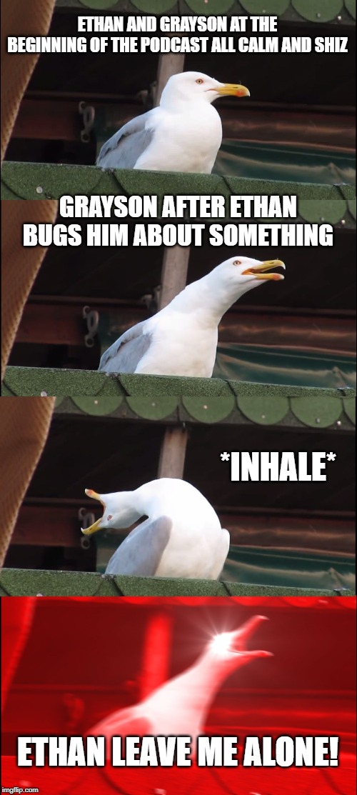 Inhaling Seagull Meme | ETHAN AND GRAYSON AT THE BEGINNING OF THE PODCAST ALL CALM AND SHIZ; GRAYSON AFTER ETHAN BUGS HIM ABOUT SOMETHING; *INHALE*; ETHAN LEAVE ME ALONE! | image tagged in memes,inhaling seagull | made w/ Imgflip meme maker