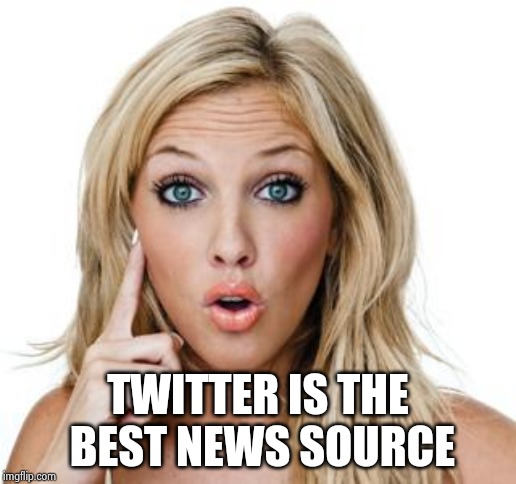 Dumb blonde | TWITTER IS THE
 BEST NEWS SOURCE | image tagged in dumb blonde | made w/ Imgflip meme maker