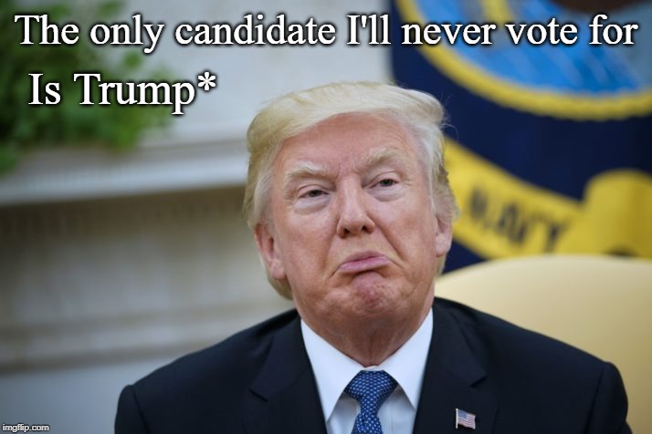 trump scowling | The only candidate I'll never vote for; Is Trump* | image tagged in trump scowling | made w/ Imgflip meme maker