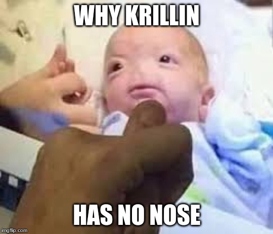 WHY KRILLIN; HAS NO NOSE | image tagged in dragon ball z | made w/ Imgflip meme maker