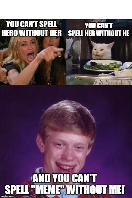 YOU CAN'T SPELL HER WITHOUT HE; YOU CAN'T SPELL HERO WITHOUT HER; AND YOU CAN'T SPELL "MEME" WITHOUT ME! | image tagged in memes,bad luck brian,woman yelling at cat | made w/ Imgflip meme maker