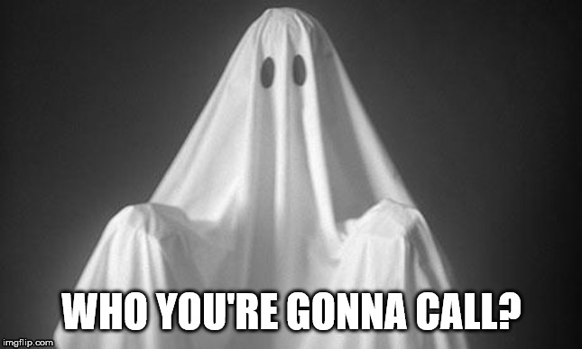 Ghost | WHO YOU'RE GONNA CALL? | image tagged in ghost | made w/ Imgflip meme maker