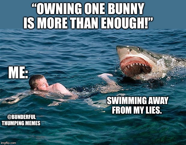 Swimming with sharks | “OWNING ONE BUNNY IS MORE THAN ENOUGH!”; ME:; SWIMMING AWAY FROM MY LIES. @BUNDERFUL THUMPING MEMES | image tagged in swimming with sharks | made w/ Imgflip meme maker