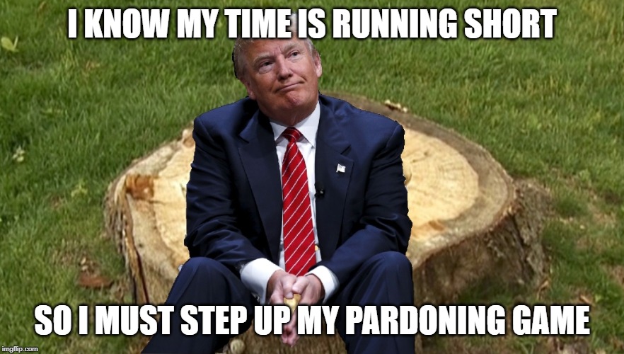 Trump on a stump | I KNOW MY TIME IS RUNNING SHORT; SO I MUST STEP UP MY PARDONING GAME | image tagged in trump on a stump | made w/ Imgflip meme maker