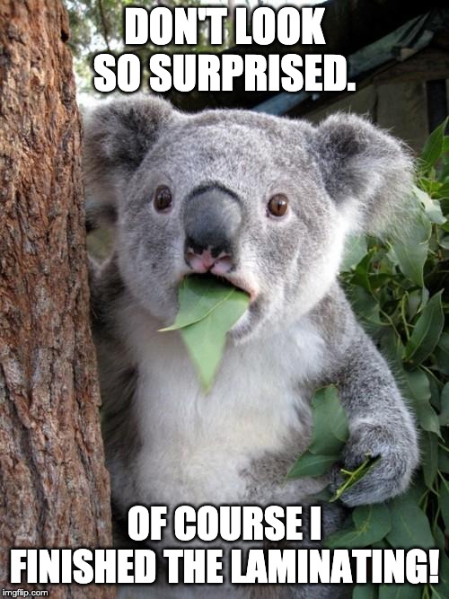 Surprised Koala Meme | DON'T LOOK SO SURPRISED. OF COURSE I FINISHED THE LAMINATING! | image tagged in memes,surprised koala | made w/ Imgflip meme maker