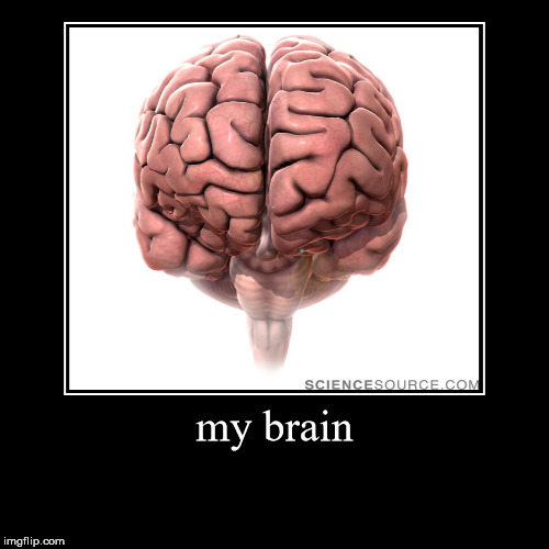 my brain | image tagged in funny,memes,my brain,realfunny,funny memes,brain | made w/ Imgflip demotivational maker