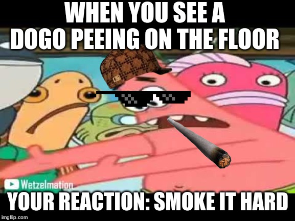 WHEN YOU SEE A DOGO PEEING ON THE FLOOR; YOUR REACTION: SMOKE IT HARD | made w/ Imgflip meme maker