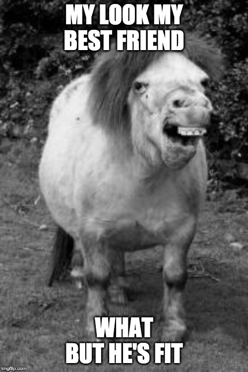 ugly horse | MY LOOK MY BEST FRIEND; WHAT BUT HE'S FIT | image tagged in ugly horse | made w/ Imgflip meme maker