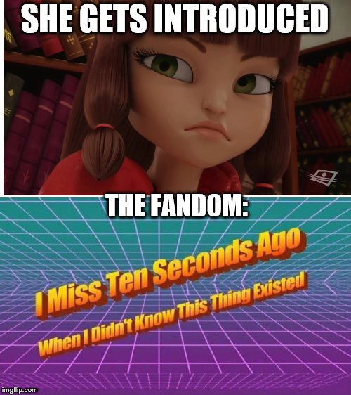 I miss ten seconds ago | SHE GETS INTRODUCED; THE FANDOM: | image tagged in i miss ten seconds ago | made w/ Imgflip meme maker