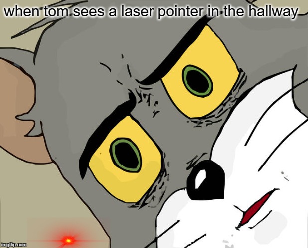 Unsettled Tom Meme | when tom sees a laser pointer in the hallway | image tagged in memes,unsettled tom | made w/ Imgflip meme maker